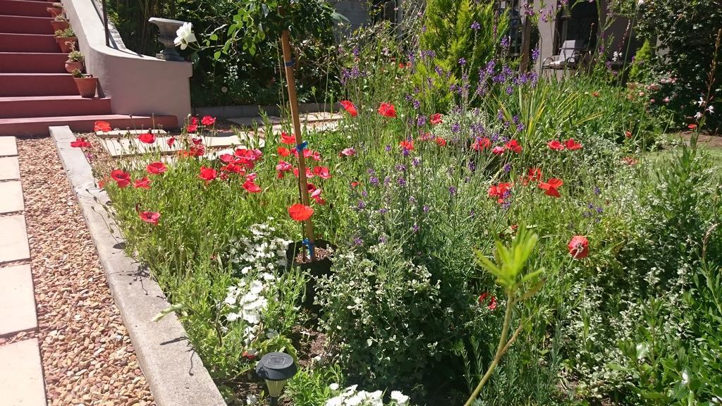 Abigail'S Garden Cottage Montagu Bagian luar foto